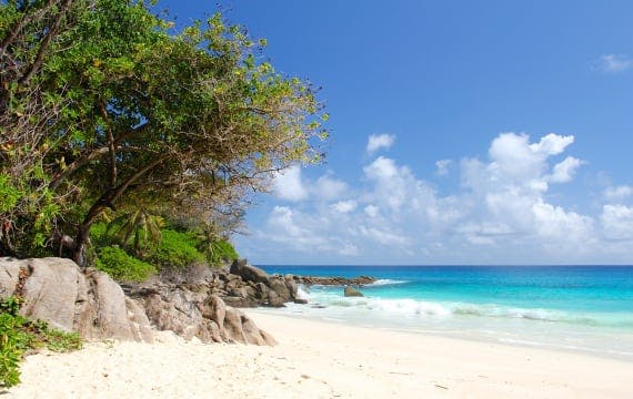 Mehr Urlaubsangebote auf Seychellen