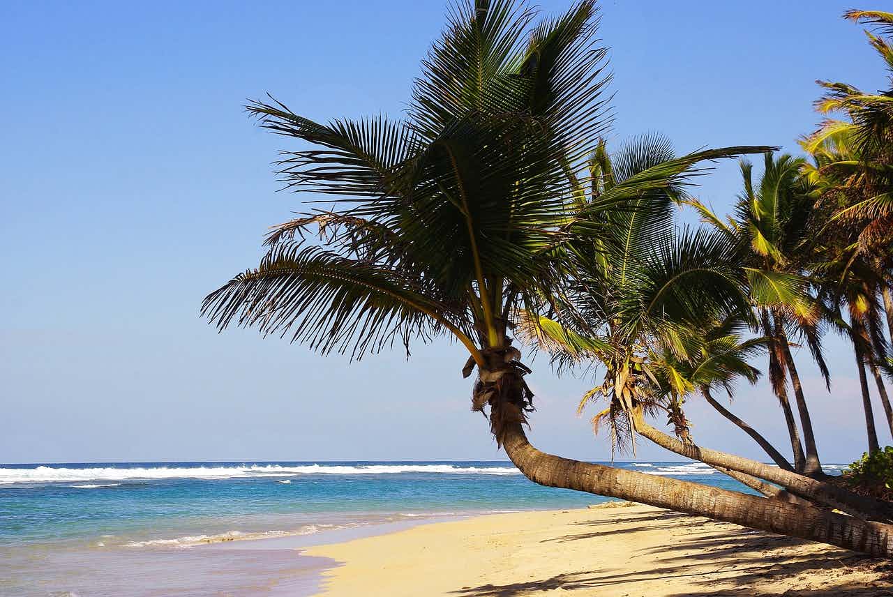 Entdecke das tropische Paradies Punta Cana